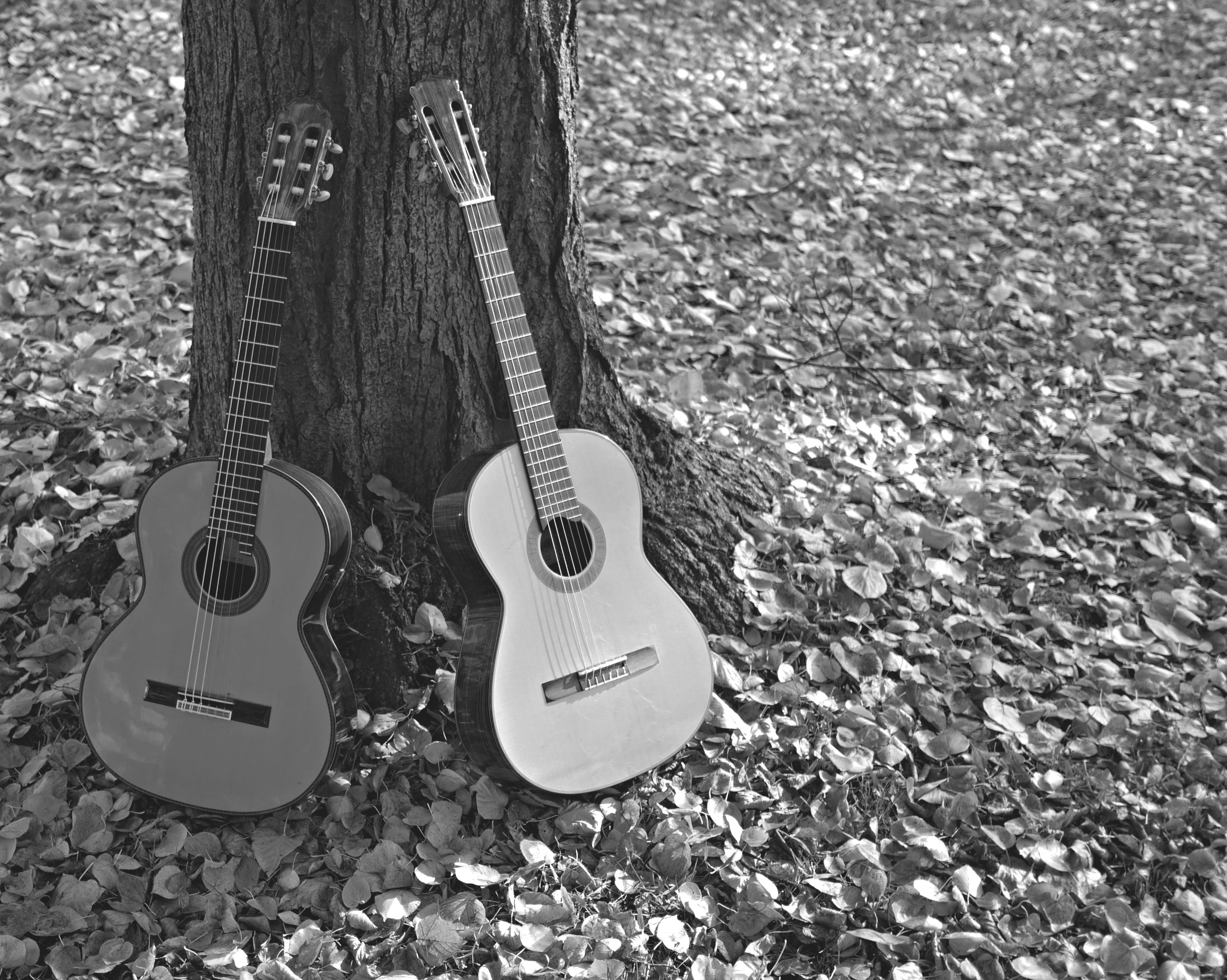 Gitarrenmusik für Trauerfeiern in und um Berlin - Gitarren im Herbst